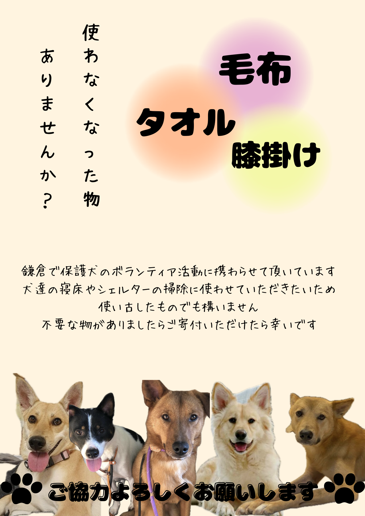 保護犬チラシ